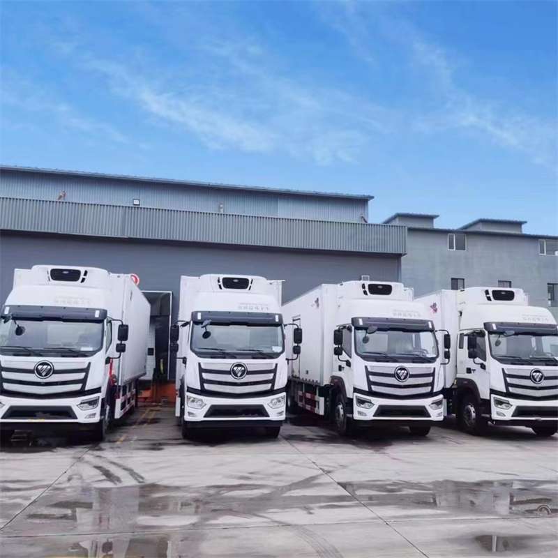 舟山市新龙县进仓物流：多元专线直达运输探秘